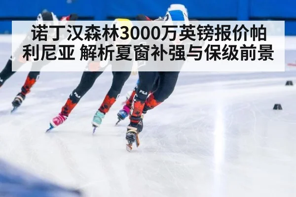 诺丁汉森林3000万英镑报价帕利尼亚 解析夏窗补强与保级前景 | 9game app