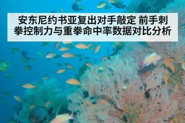 安东尼约书亚复出对手敲定 前手刺拳控制力与重拳命中率数据对比分析 | 9game app