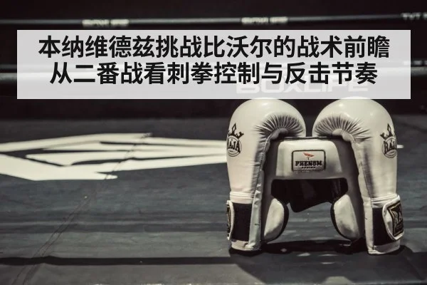 boxing ring gloves