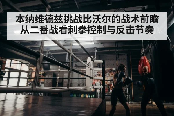 boxer training gym